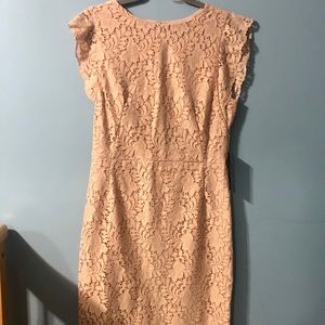 NWT Zara lace dress